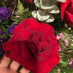 Meet your Posher, Karla